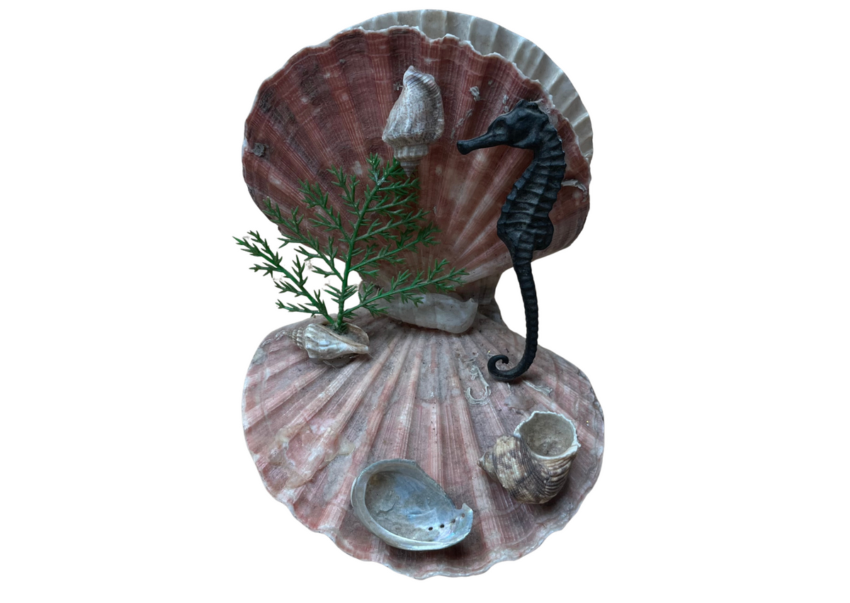 Décor coquillage et hippocampe