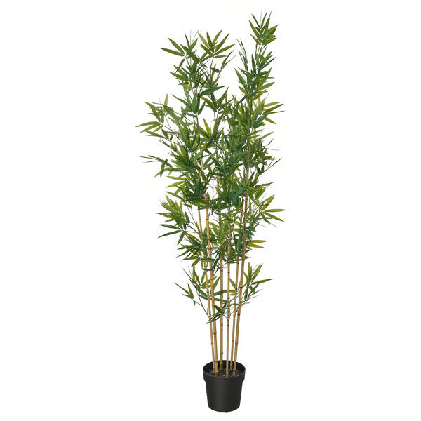 Fausse plante - Bambou