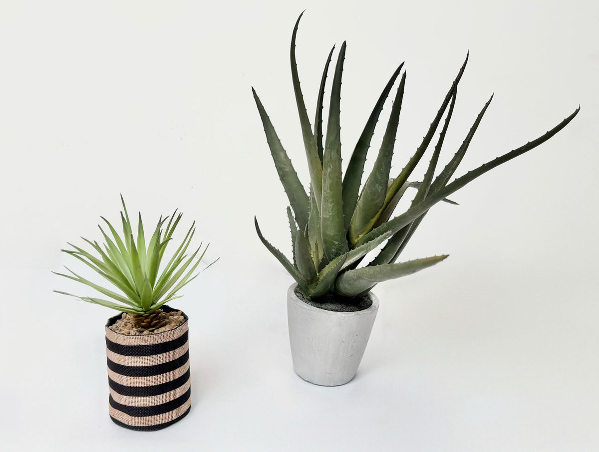 Fausses plantes