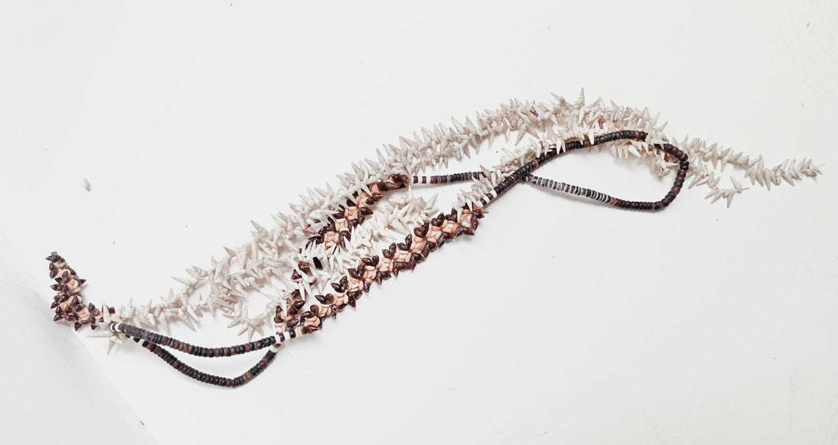 Coquillage