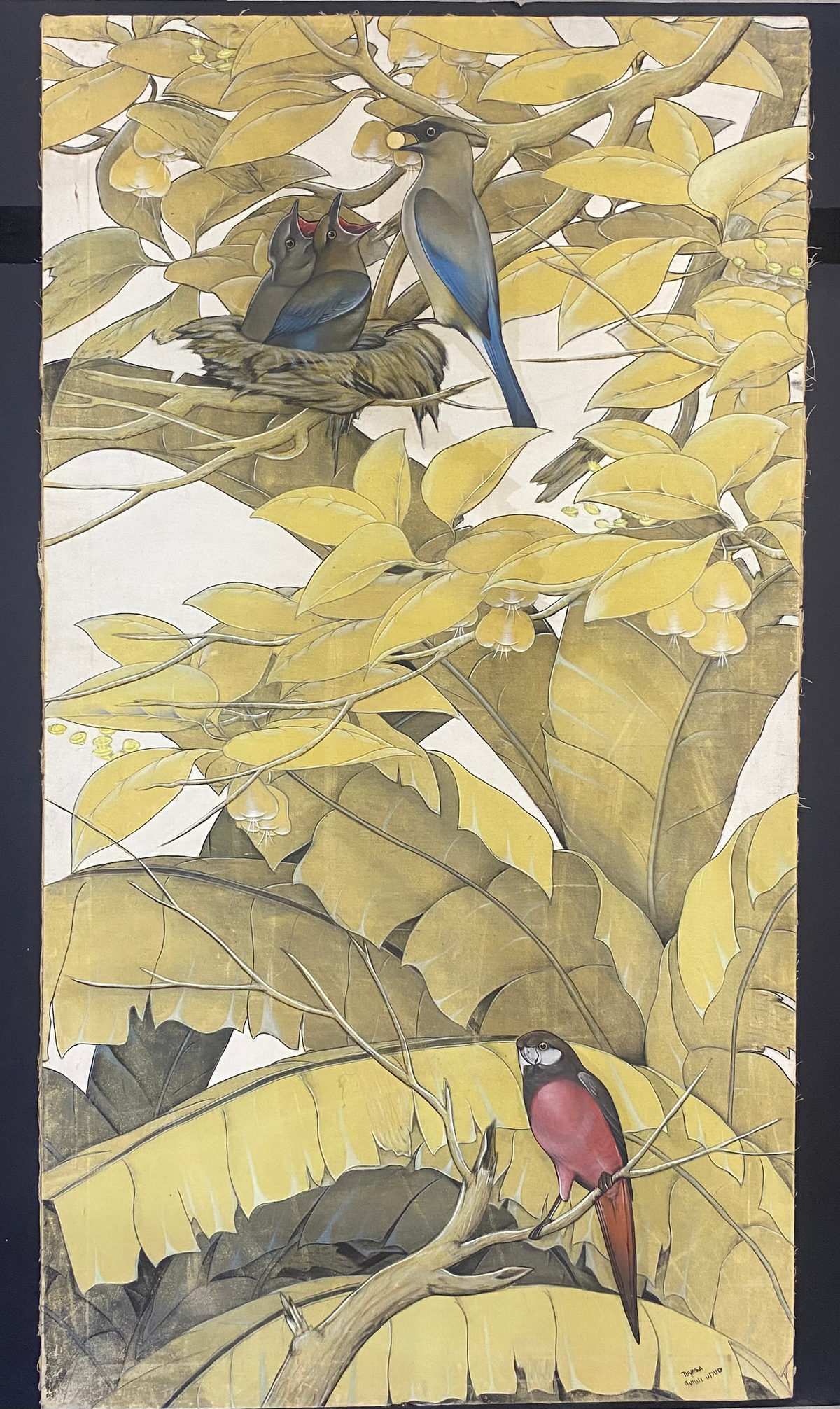 Oiseaux 1