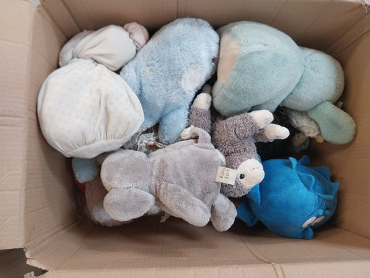 Carton peluche
