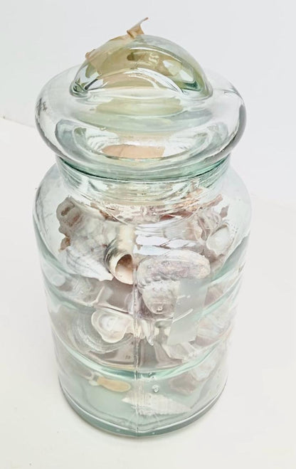 Coquillage