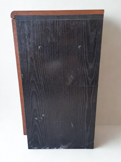 Buffet bas des années 50 en bois foncé à deux portes