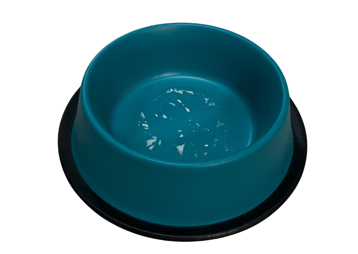 Gamelle pour chien bleu canard