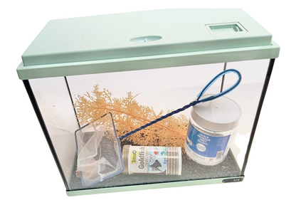 Aquarium à couvercle vert d'eau avec accessoires
