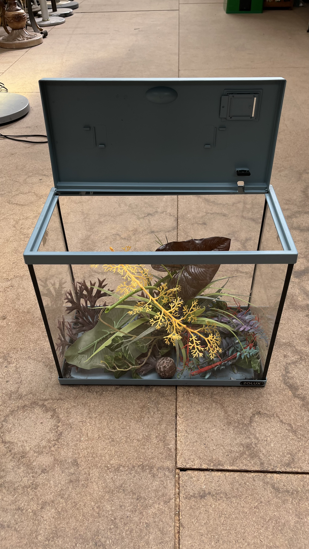 Aquarium à couvercle vert d'eau avec accessoires