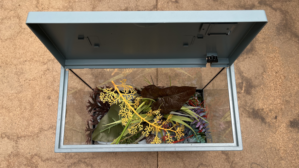 Aquarium à couvercle vert d'eau avec accessoires