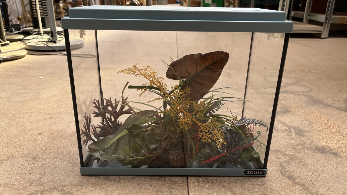 Aquarium à couvercle vert d'eau avec accessoires