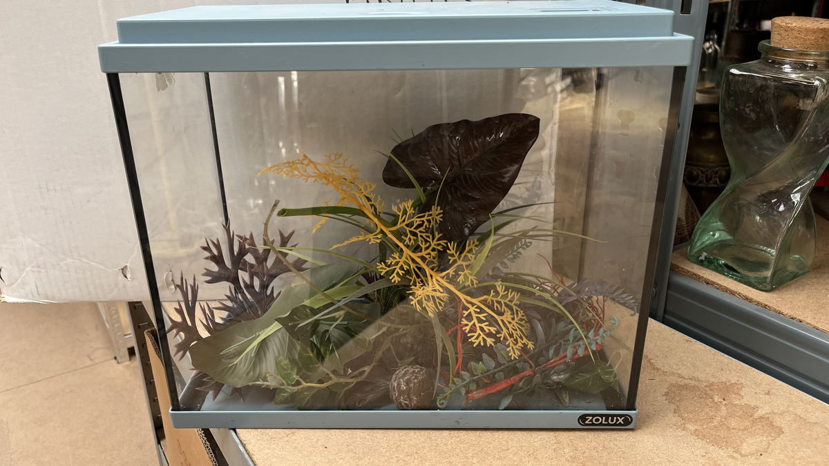 Aquarium à couvercle vert d'eau avec accessoires