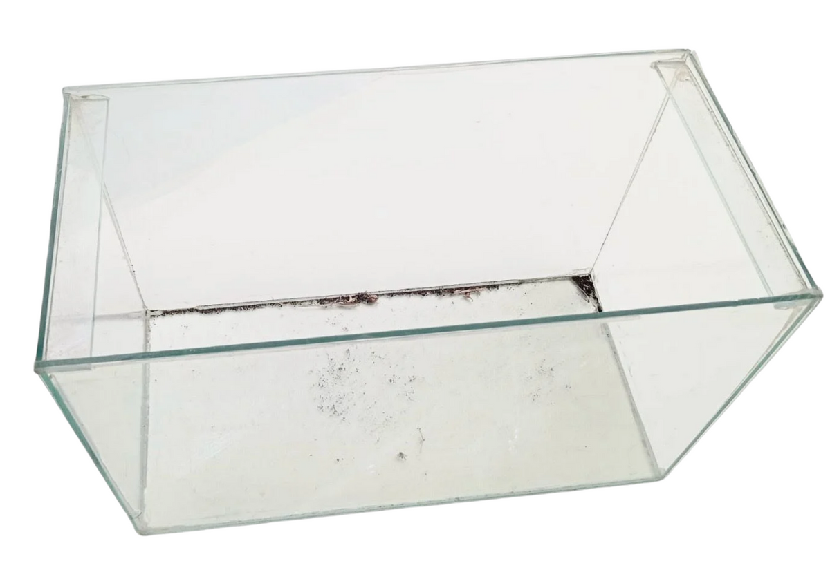Aquarium en verre sans couvercle