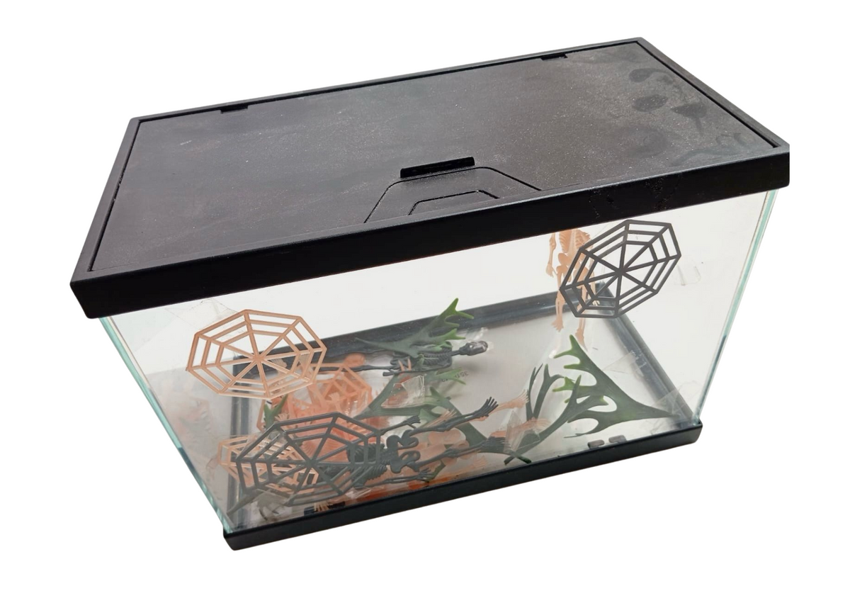 Aquarium en verre à couvercle noir et décor
