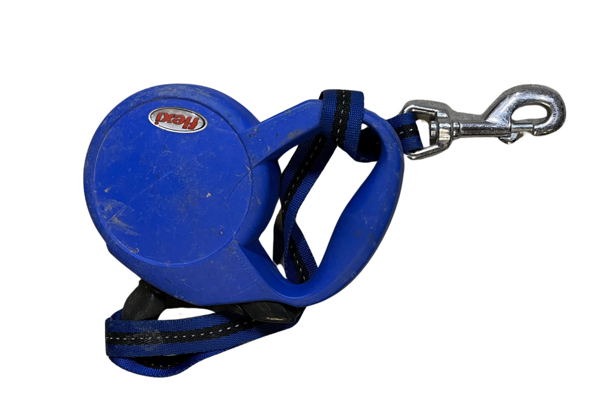Laisse à enrouleur bleue