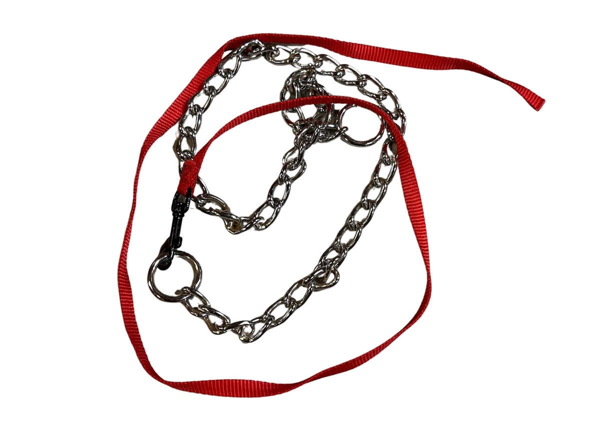 Collier chaîne et laisse rouge