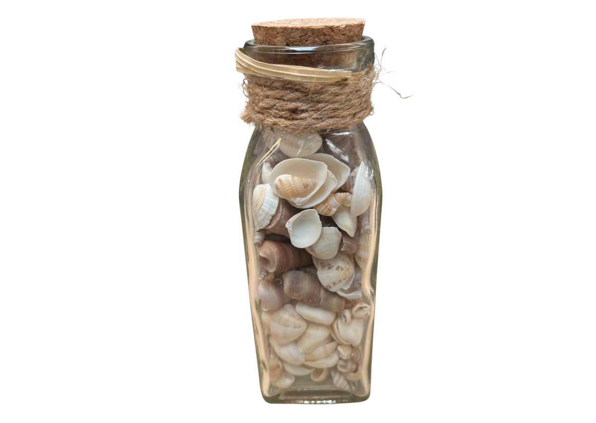 Flacon en verre rempli de coquillages