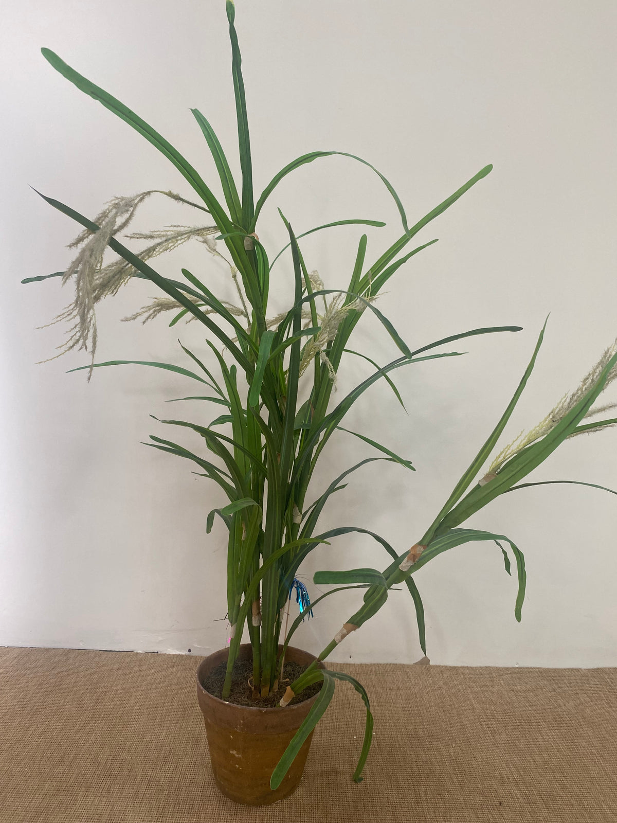 Plante - Plastique - pot