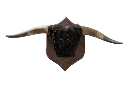 Cornes de taureau