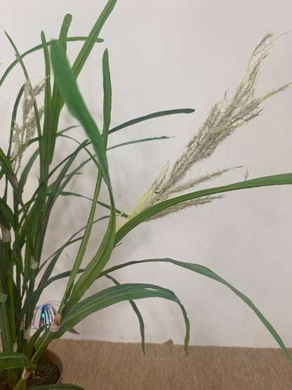 Plante - Plastique - pot