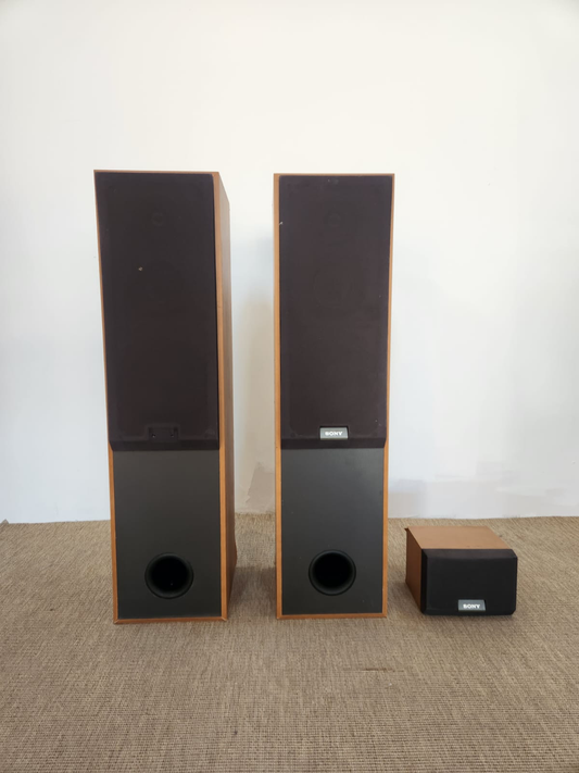 Grande Enceinte Sony