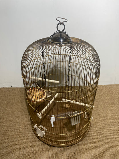 Cage oiseau - Dorée