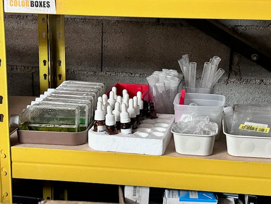 Laboratoire