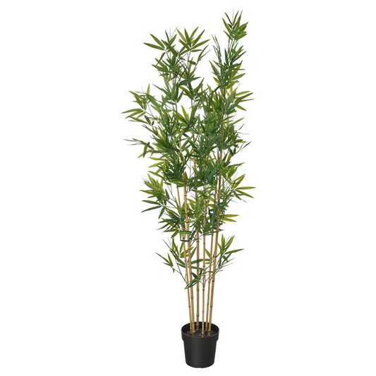 Fausse plante - Bambou