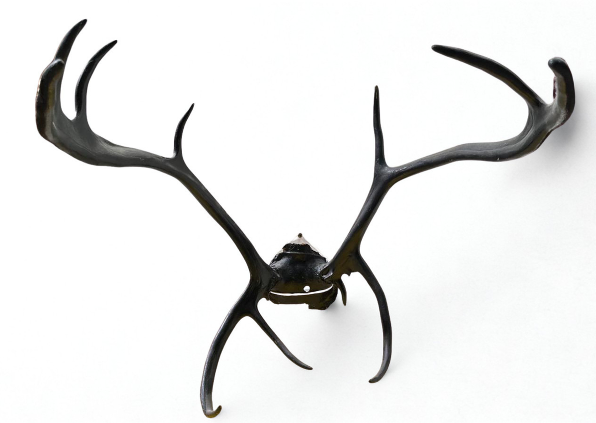 Bois de cerf
