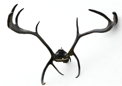 Bois de cerf