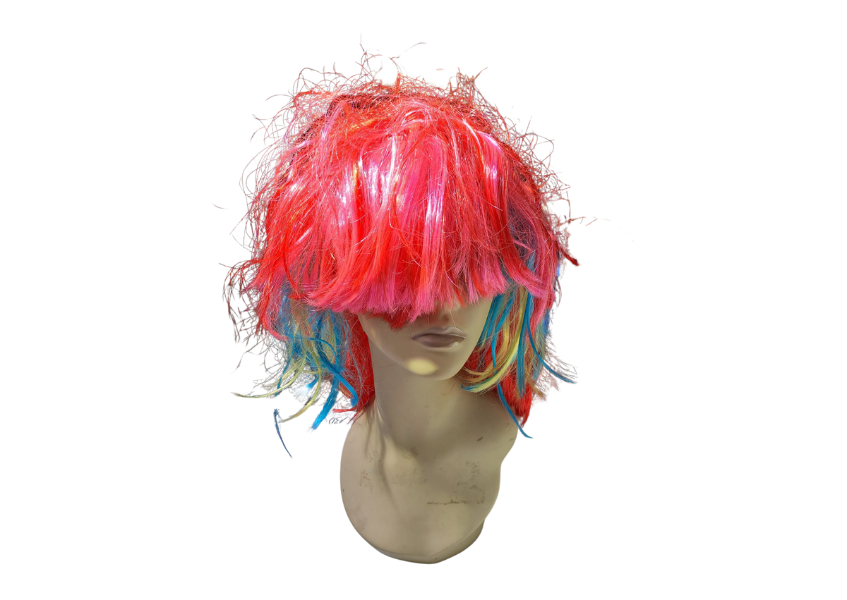 Perruque multicolore
