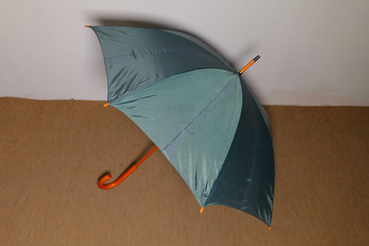Parapluie bleu gris