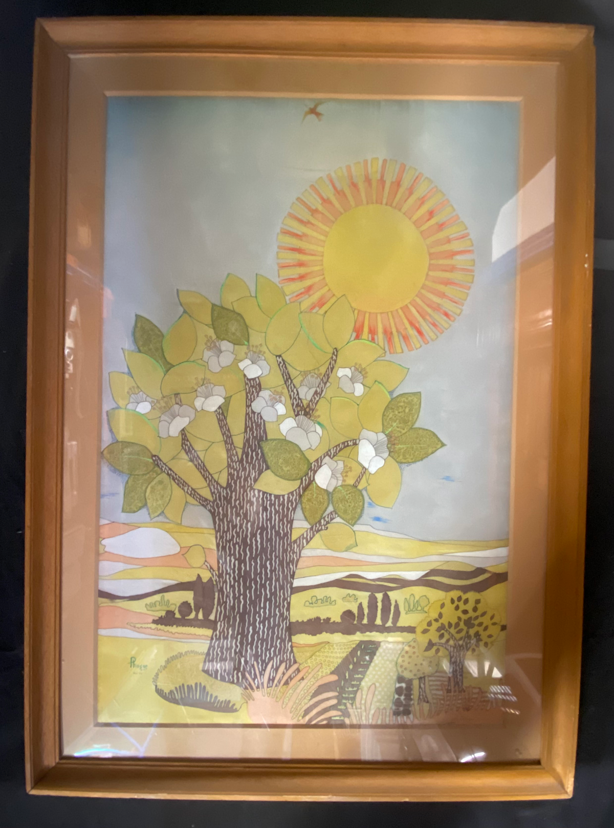 Nature / Arbre