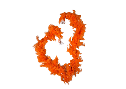 Echarpes à plumes