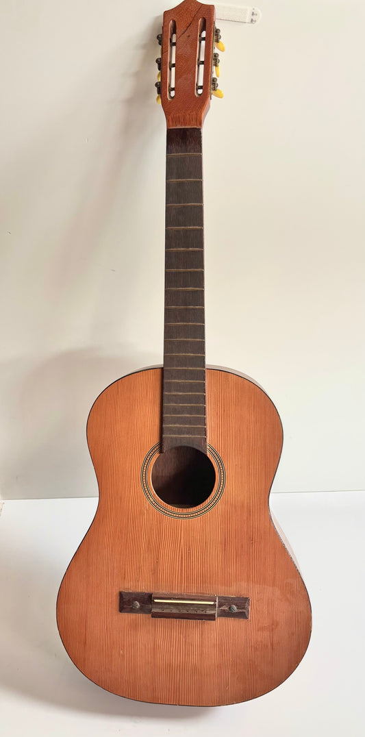 Guitare seche