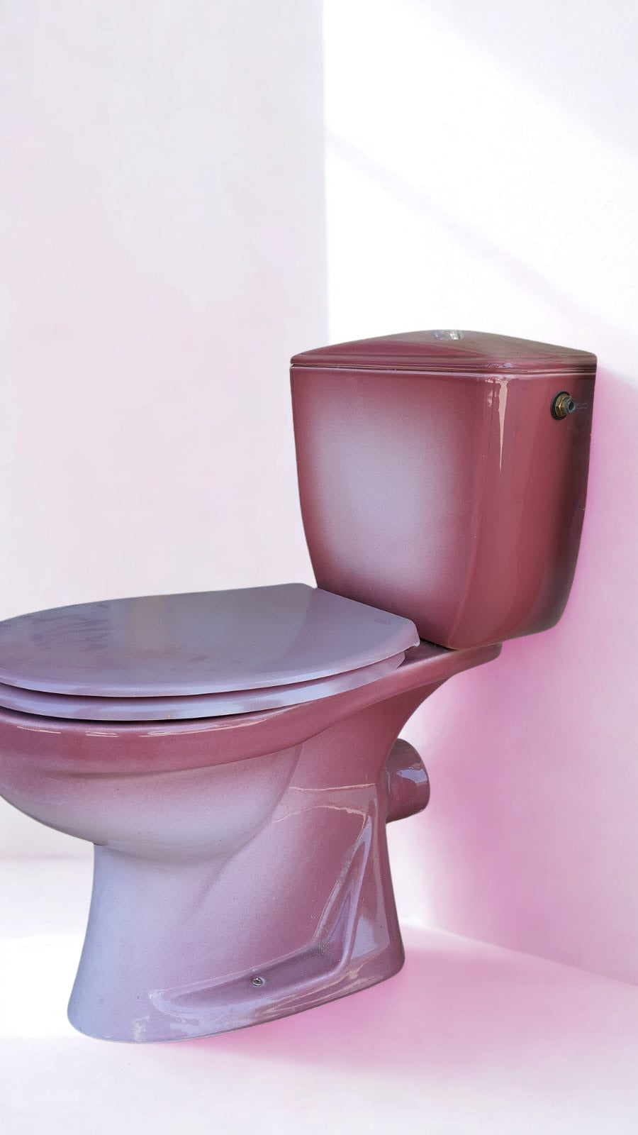 Toilettes rétro roses