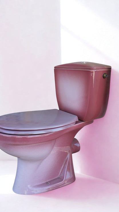 Toilettes rétro roses