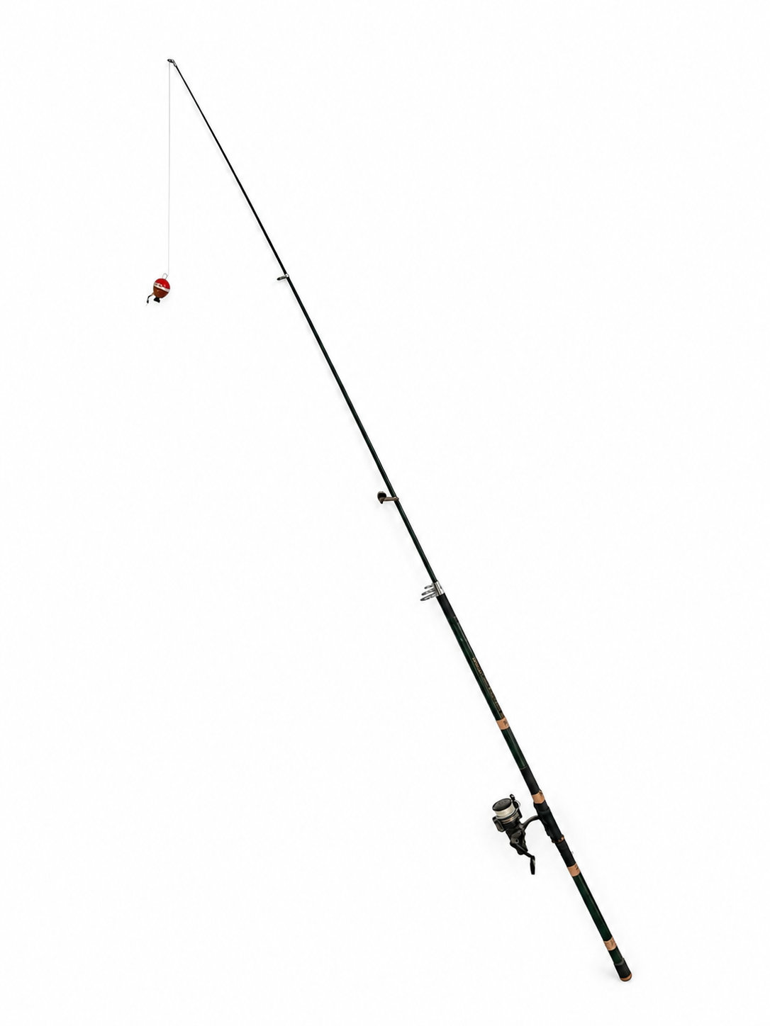 Canne à pêche