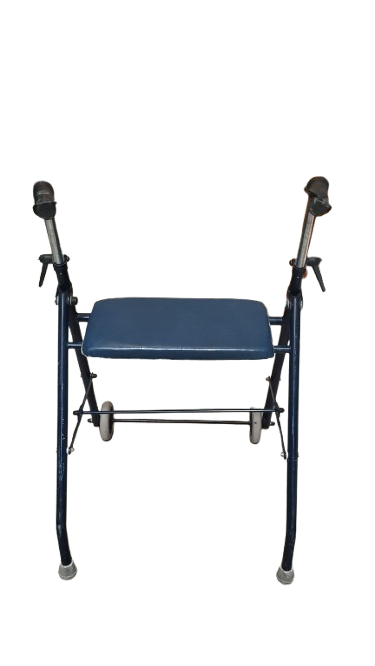 Déambulateur bleu
