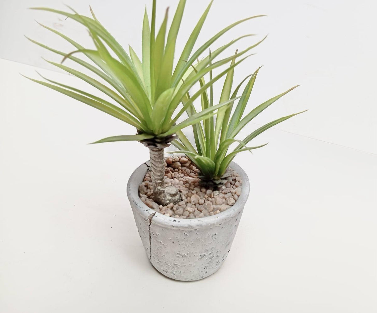 Fausses plantes