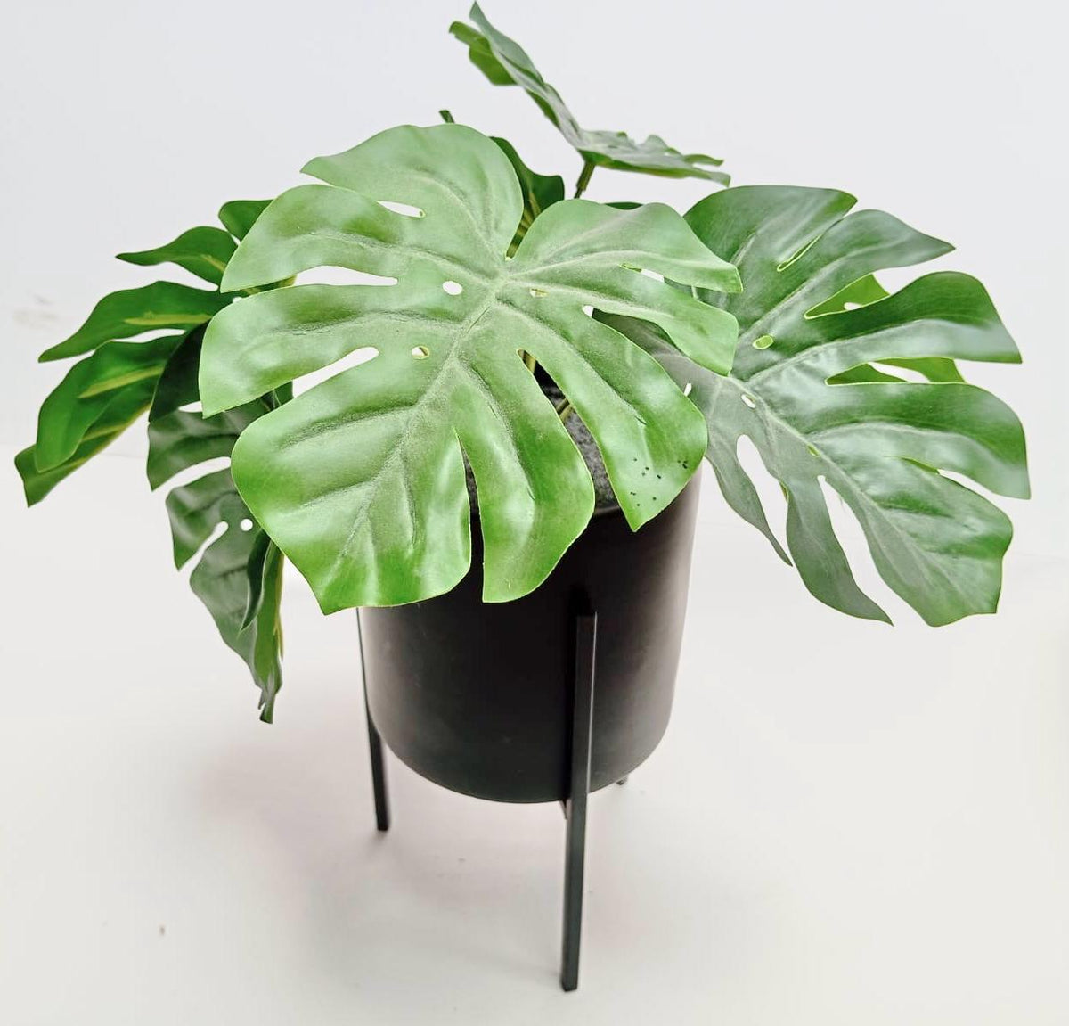 Fausses plantes