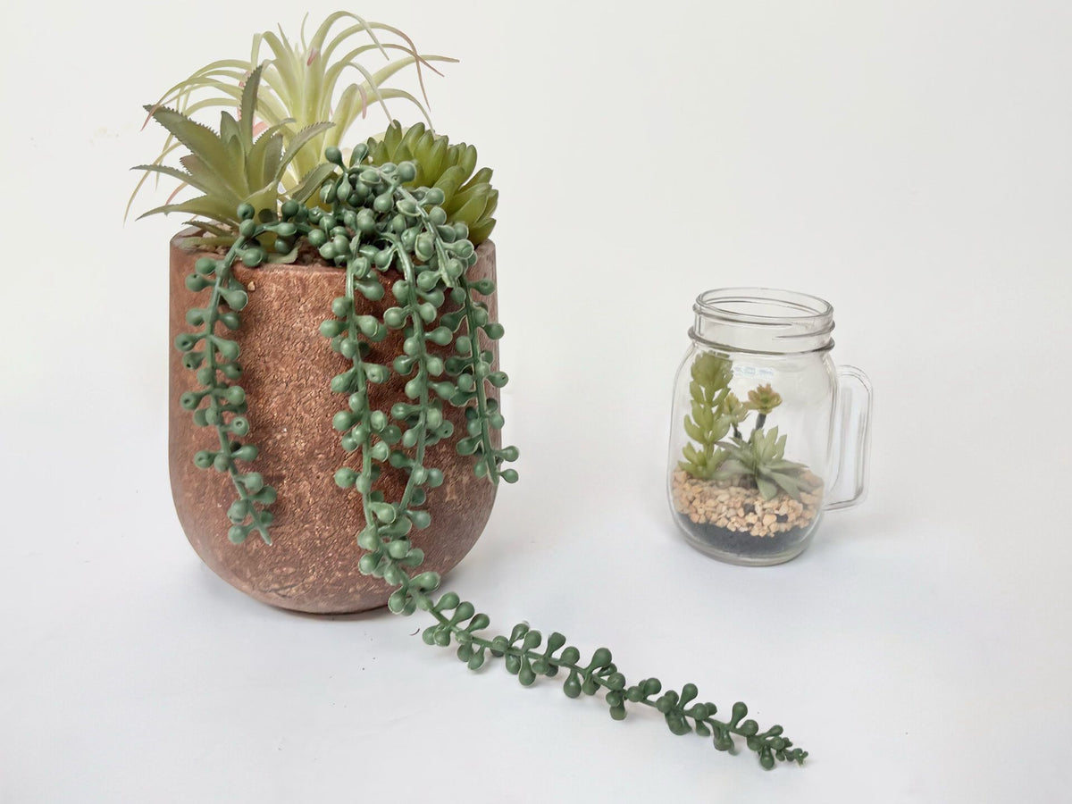Fausses plantes