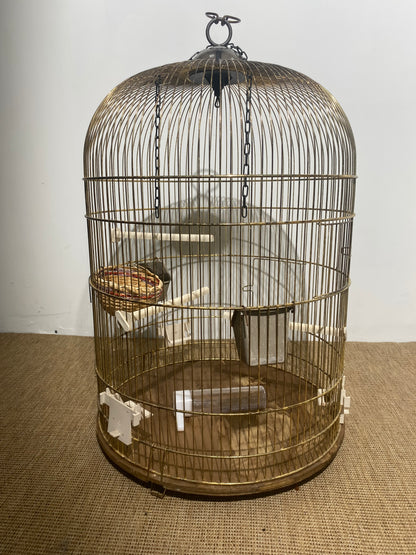 Cage oiseau - Dorée