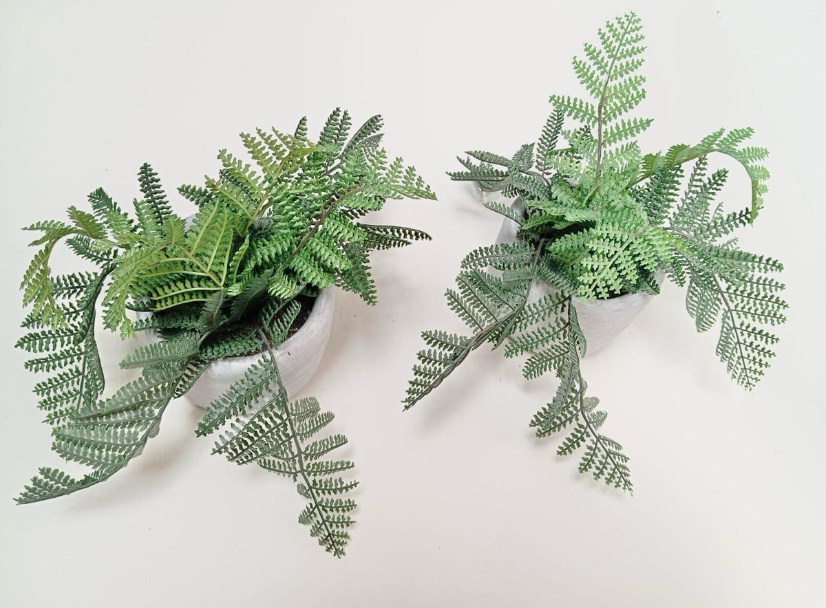 Fausses plantes