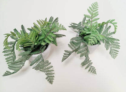 Fausses plantes