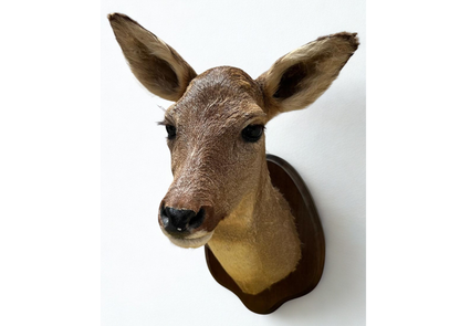 Biche