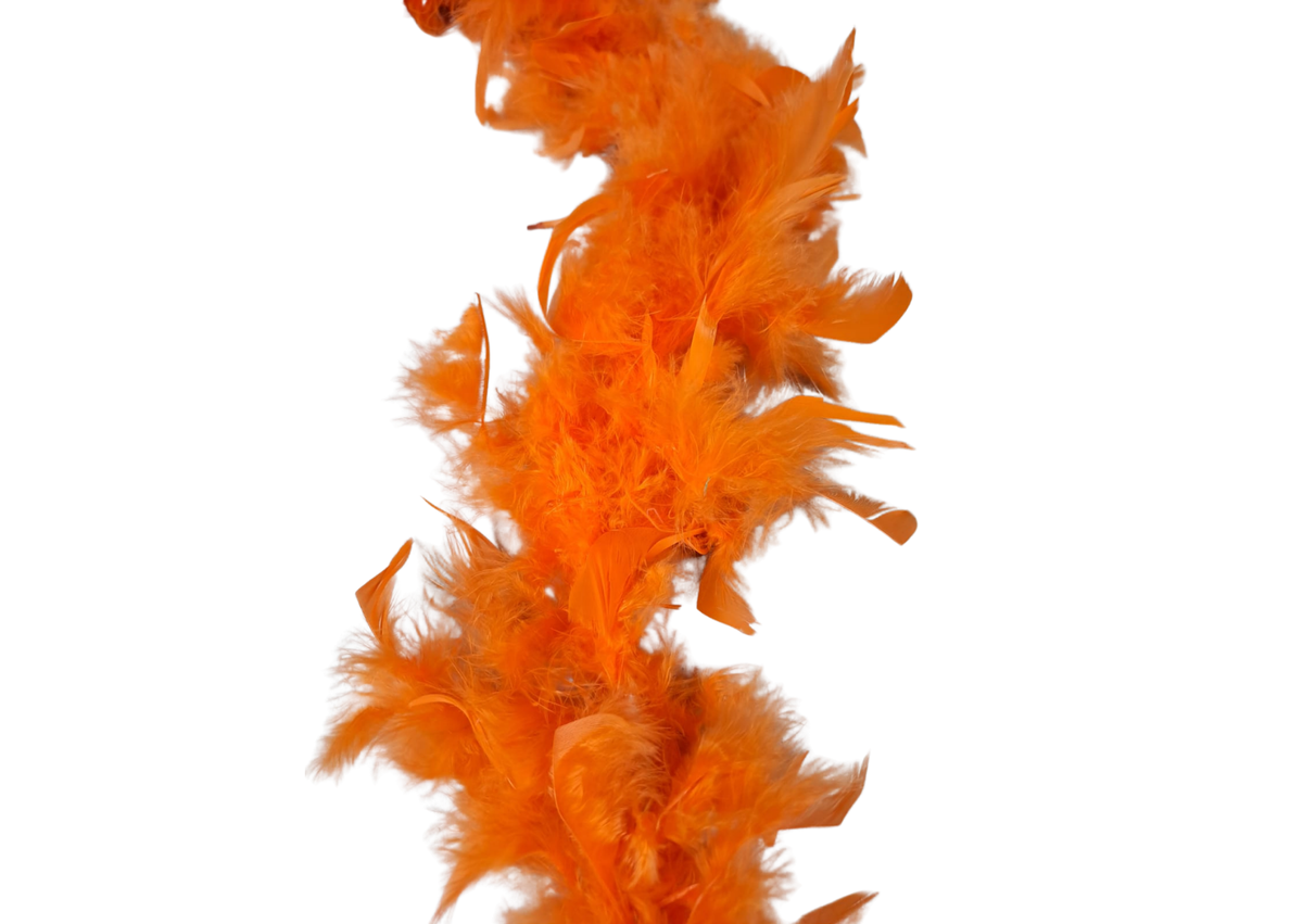 Echarpes à plumes