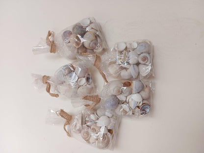Coquillage
