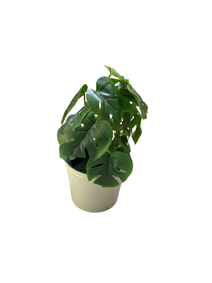 Fausse plante - Monstera