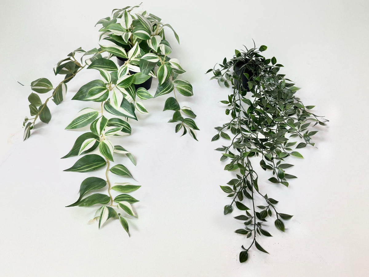 Fausses plantes