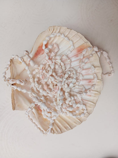 Coquillage