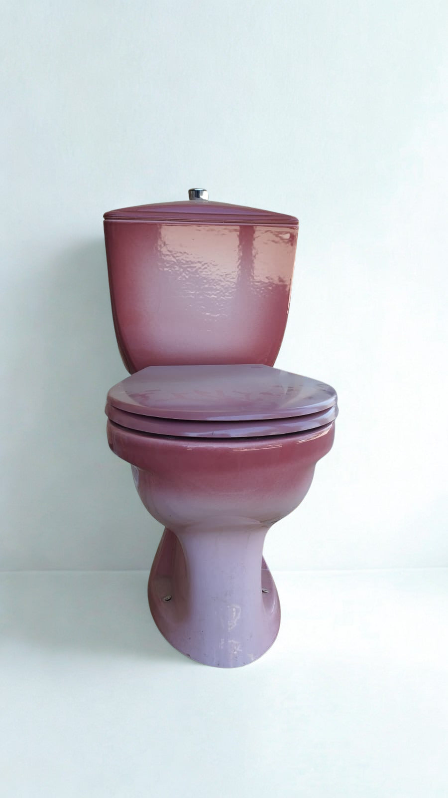 Toilettes rétro roses